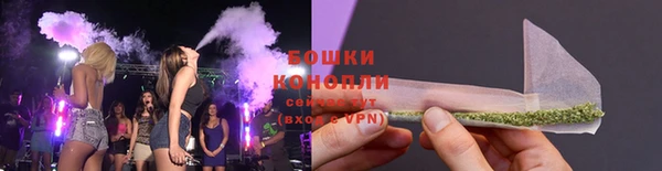 PSILOCYBIN Вяземский